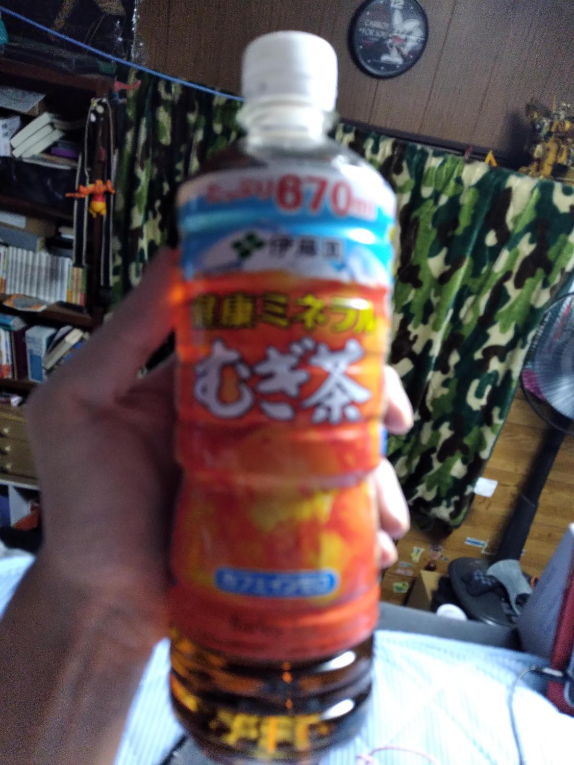 健康ミネラルむぎ茶 伊藤園 670ml×24本×2ケース (48本)(送料無料 、一