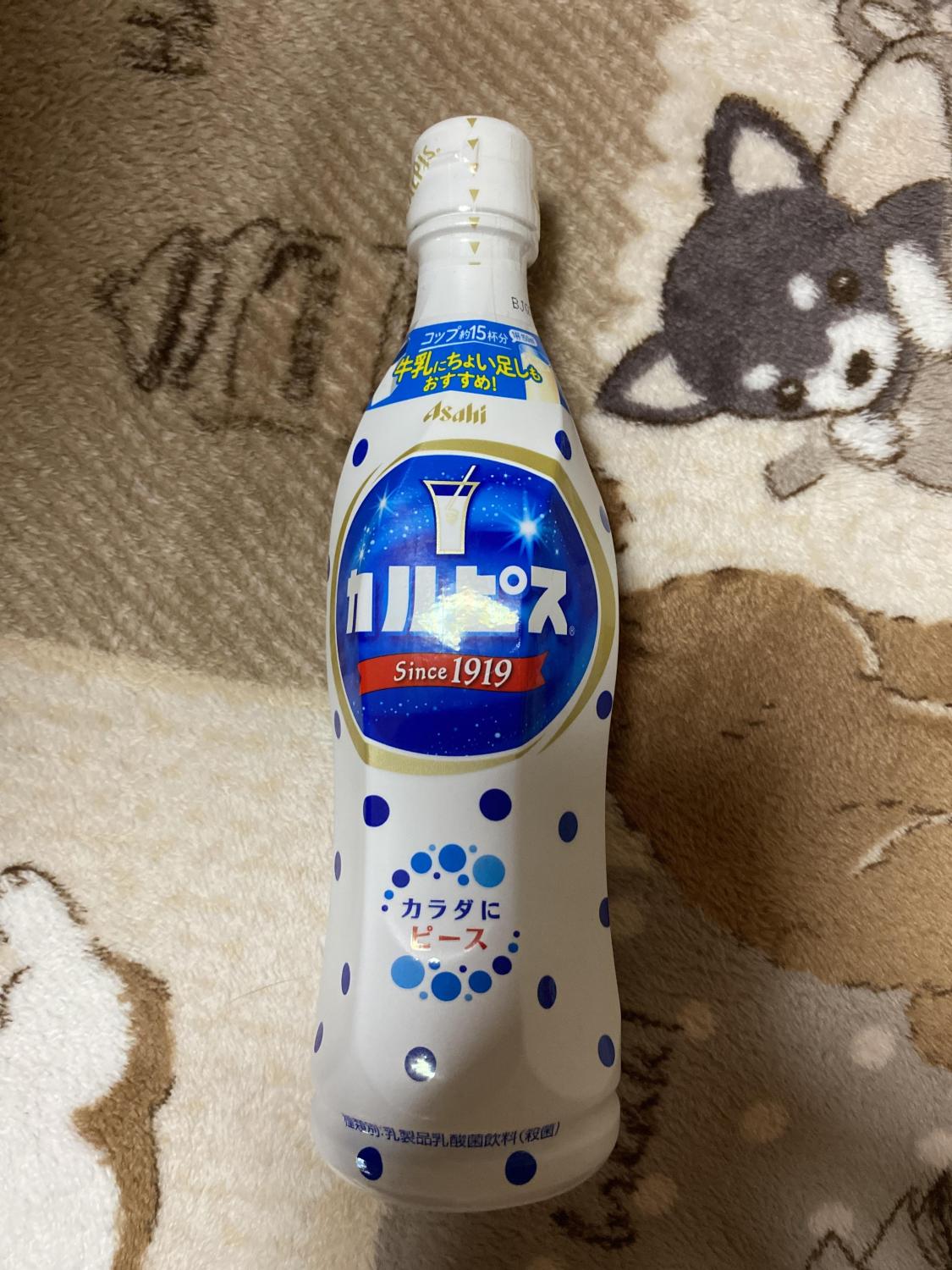 未開封 カルピス 温州みかん 470ml 36本 原液 カルピスⓇ温州みかん